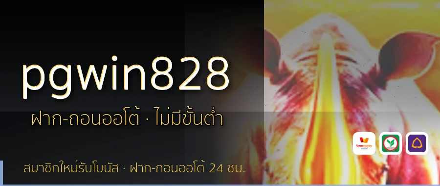 pgwin828